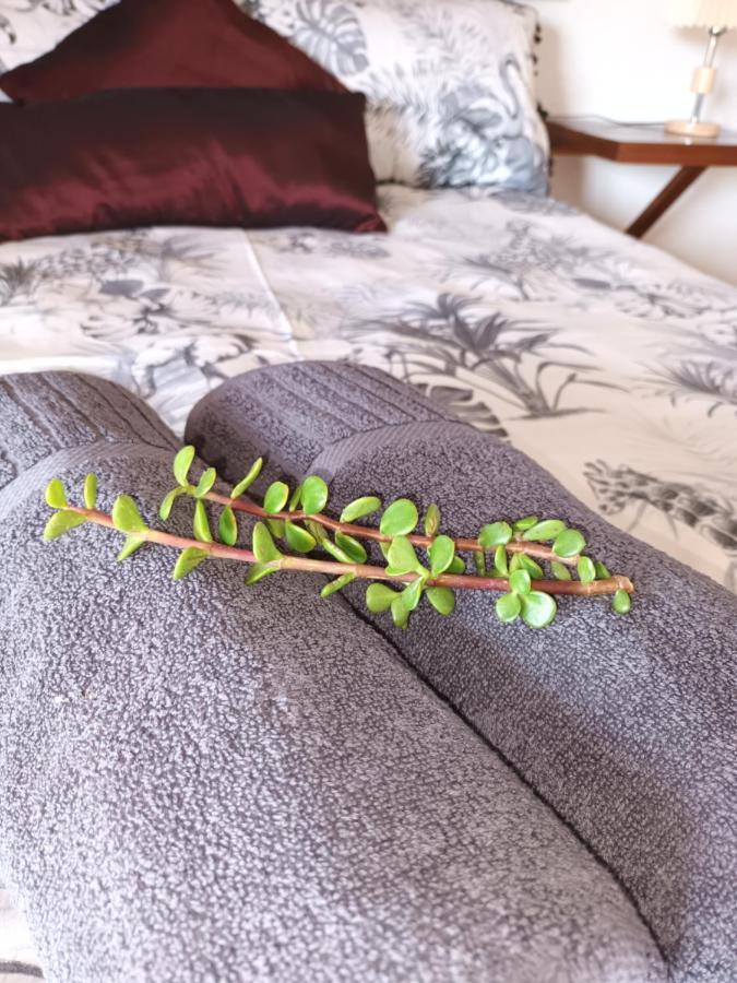 Chameleon Lodge Колчестър Екстериор снимка