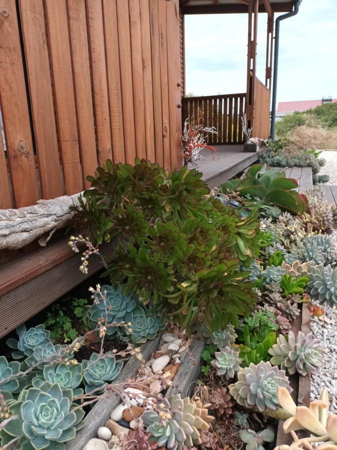 Chameleon Lodge Колчестър Екстериор снимка